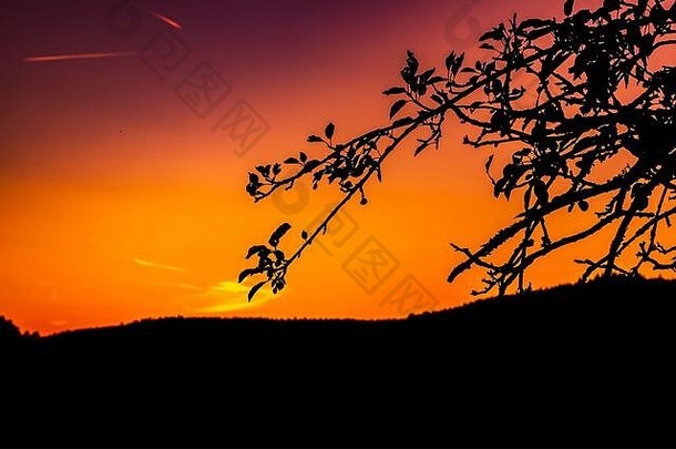 自然概念拍摄：森林中的夕阳天空