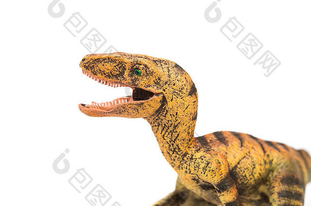 白色背景上的黄色velociraptor<strong>玩具</strong>