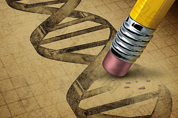基因工程和DNA操作，作为一门生物技术科学，研究具有特定功能的转基因食品或活生物体