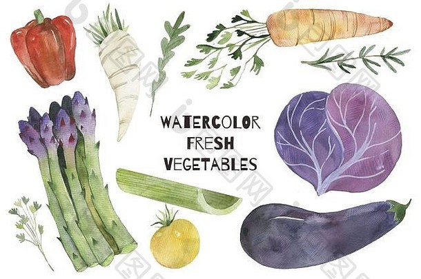水彩画集合蔬菜手画新鲜的食物设计元素孤立的白色背景