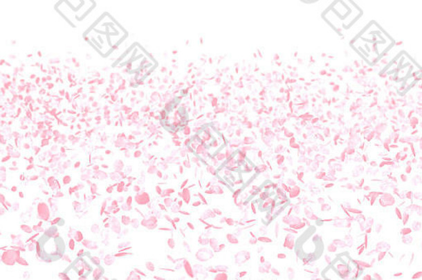 樱桃花朵粉红色的花背景