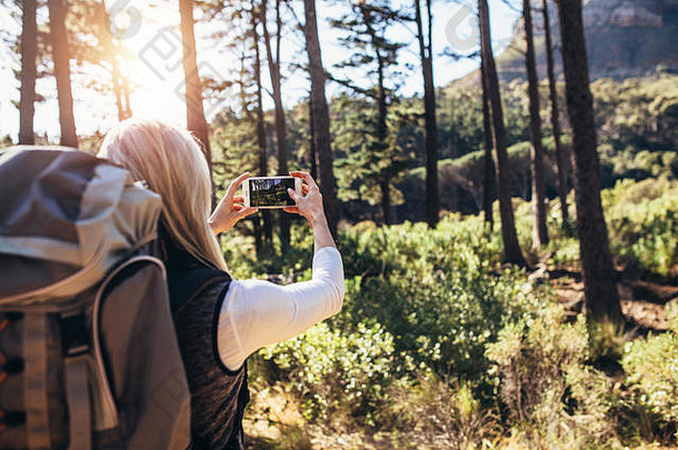女人采取照片移动电话徒步旅行徒步旅行者穿背包拍摄森林场景