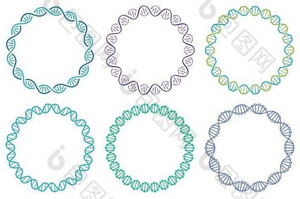 太太螺旋框架集人类基因组螺旋孤立的白色背景遗传概念科学医学