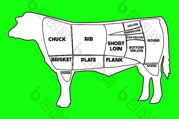 展示美国原始牛肉及其细分部分的奶牛图。肉片。屠夫图和方案。在绿色屏幕c上手工绘制