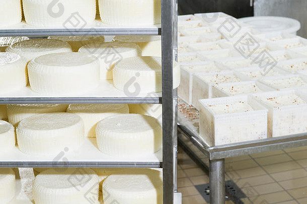 货架上的几块新鲜奶酪准备成熟