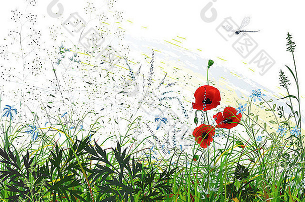 野草、鲜花和蜻蜓飞舞的风景。插图