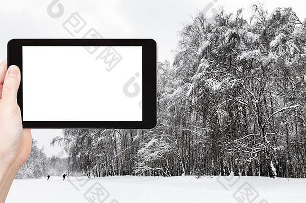 旅游理念——莫斯科城市公园冬季冰雪覆盖的小树林的旅游照片，用智能手机拍摄，带有空白pl的空屏幕