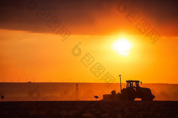 农民拖拉机准备土地苗床cultivator日落拍摄