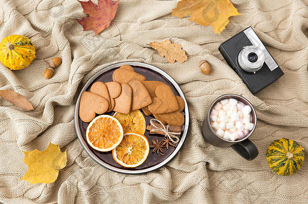 姜饼、热巧克力和秋天的相机