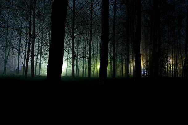 夜晚可怕的黑暗森林