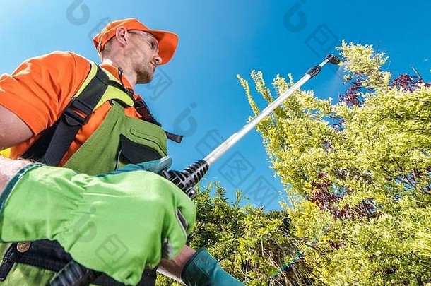 30多岁的专业园丁，在春季定期维护期间使用杀虫剂花园设备喷洒植物和树木。