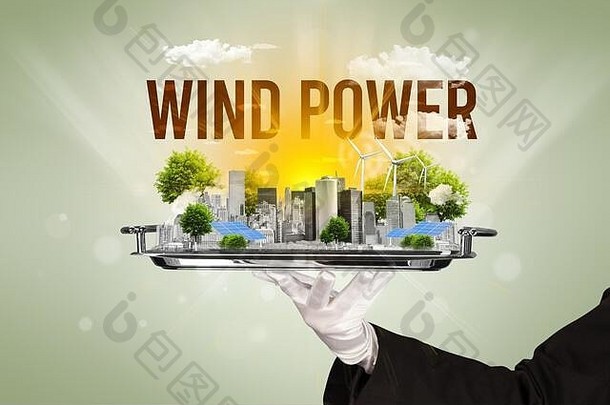 服务员服务生态城市风权力登记renewabke能源概念
