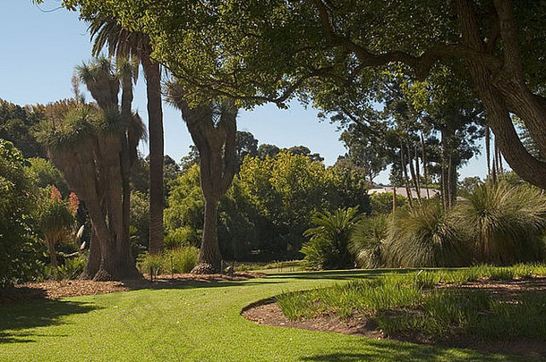 南澳大利亚阿德莱德皇家植物园花园和<strong>建筑</strong>视图，
