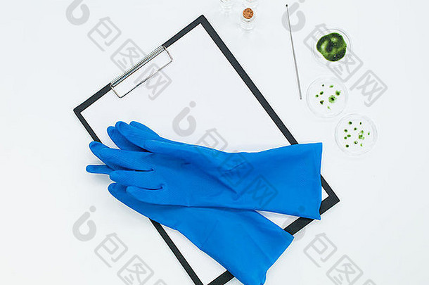 蓝色<strong>实</strong>验室手套放在一块空白的夹<strong>板</strong>上，旁边是<strong>三</strong>个装有透明液体的小瓶和<strong>三</strong>个培养皿