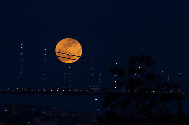 超级蓝色的血月亮横跨博斯普鲁斯海峡桥伊斯坦布尔城市火鸡
