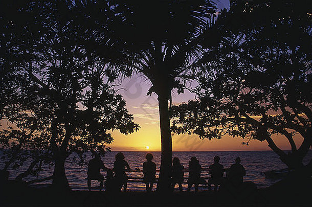 一群朋友坐在棕榈树下的剪影，俯瞰海滩和大海，观看日落