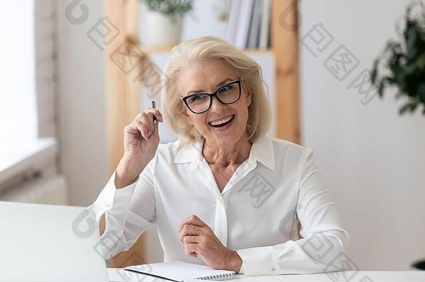 老年女商人在远程工作面试中使用笔记本电脑面试应聘者