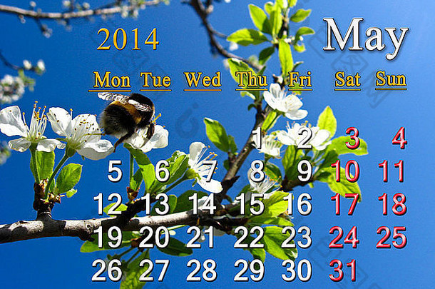 以大黄蜂飞行为背景的2014年5月日历