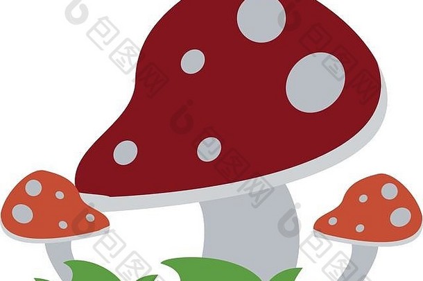 野生蘑菇图标图像