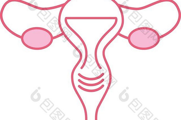 女生殖器官图标