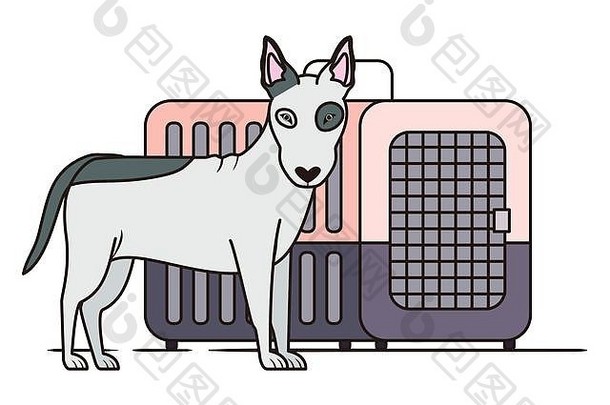 白色背景上的狗和宠物运输箱