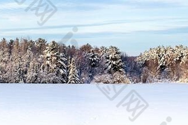 一月份第一天，威斯康星州被白雪覆盖的田野和森林的全景