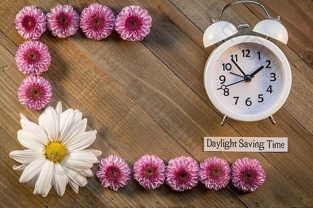 夏令时概念，粉色菊花和木制时钟背景，平面布置