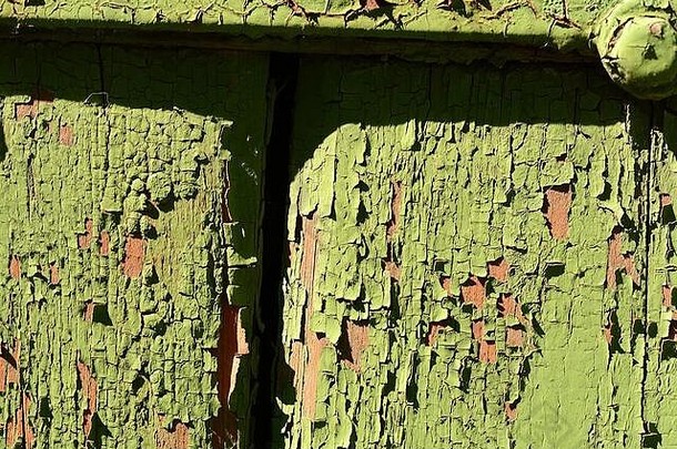 天然绿色木材纹理，带有一系列结和环形线。