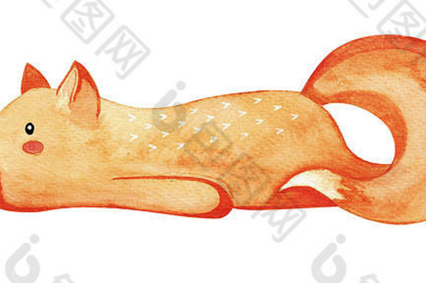 可爱的懒狐狸。在白色背景上被隔离的红狐。水彩