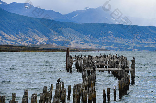 位于巴塔哥尼亚阿尔米兰特-蒙特湾的老码头（穆勒历史），智利马加兰地区纳塔莱斯港