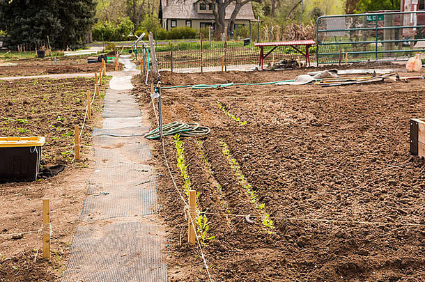 城市地区早春准备种植的<strong>社区花园</strong>。