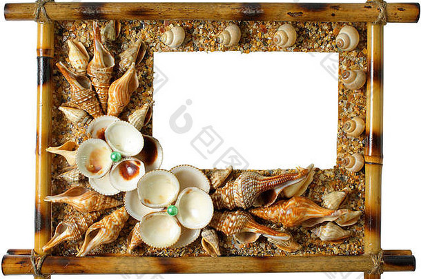 photoframework海蛤壳白色背景