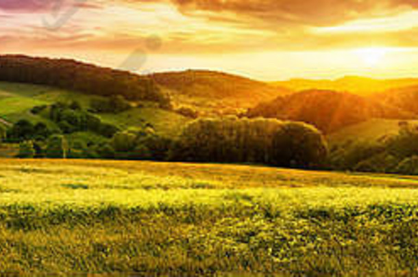 全景日落巨大的开花草地景观山地平线色彩斑斓的天空