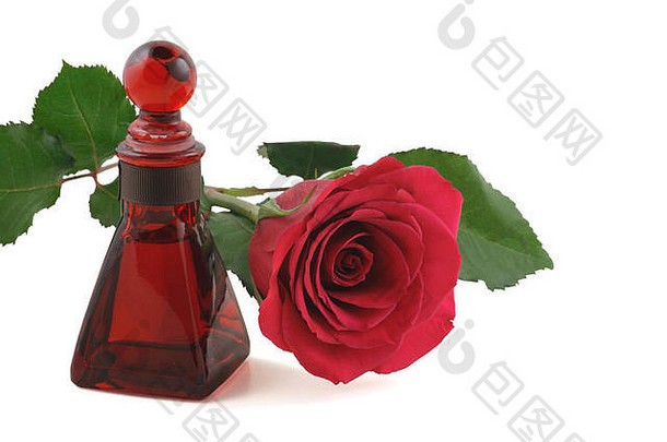 单红色的<strong>玫瑰</strong>铺设有吸引力的红色的玻璃瓶<strong>玫瑰</strong>石油孤立的白色背景