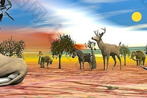 日落时分，热带草原上有各种非洲动物