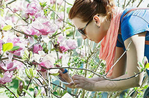 年轻的白人妇女用<strong>樱花</strong>树的智能手机拍照。美与自然。