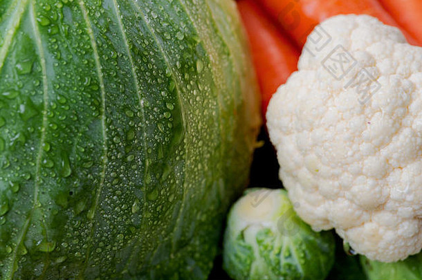 各种新鲜生有机蔬菜，包括胡萝卜、卷心菜、花椰菜、芽甘蓝。