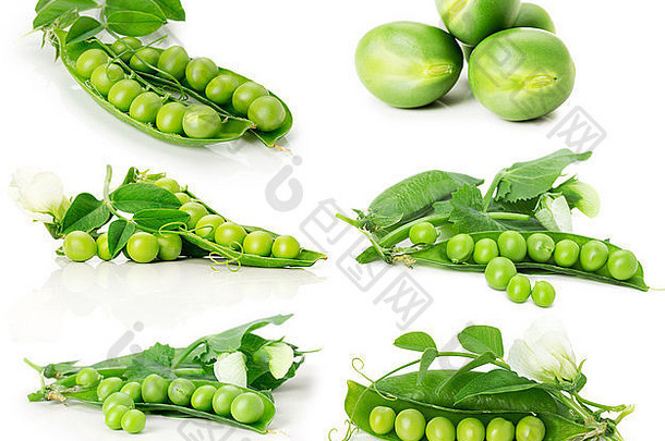 集绿色豌豆孤立的白色背景