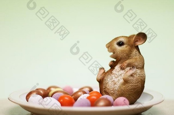 快乐的老鼠和一盘巧克力复活节彩蛋。09/03/2020. 德洛伊特维奇，伍斯特，英格兰，英国。快乐的老鼠坐在一盘巧克力复活节彩蛋上。