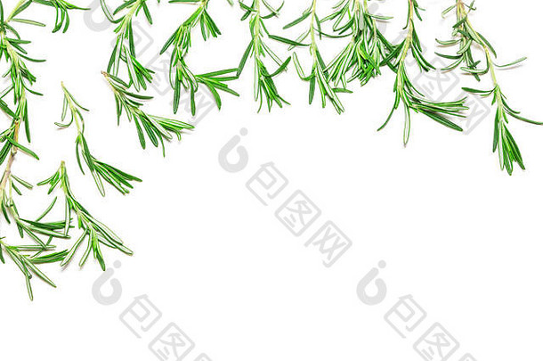 白色背景上的迷迭香小枝作为框架。新鲜香草。俯视图，空间