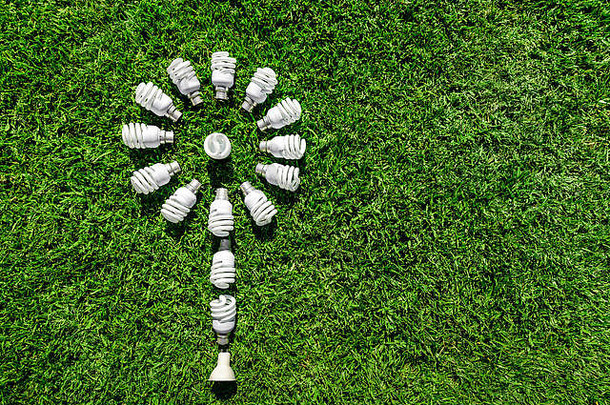 能源储蓄光灯泡草形成花绿色能源概念