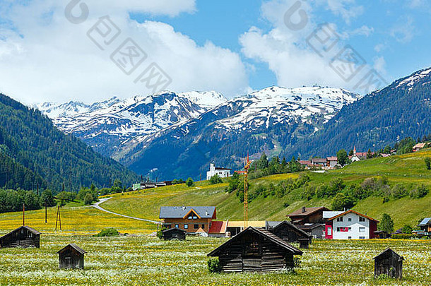夏季阿尔卑斯山乡村景观，草地和通往村庄的道路（奥地利）