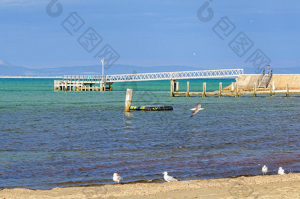 海鸥和<strong>斯</strong>旺西码头，由三部分组成，与铝制人行道相连——<strong>澳大利亚塔斯</strong>马尼亚