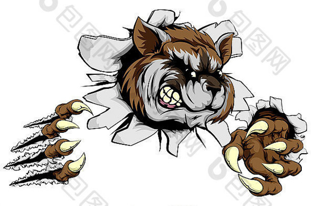 一只可怕的浣熊吉祥物用锋利的爪子撕开背景