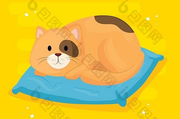 坐在垫子里的可爱小猫
