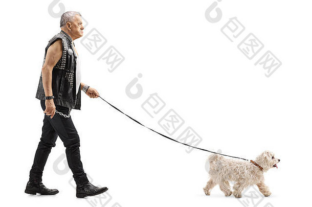 脾气暴躁的老人穿着皮背心，在白色背景下遛着一只马耳他贵宾狗
