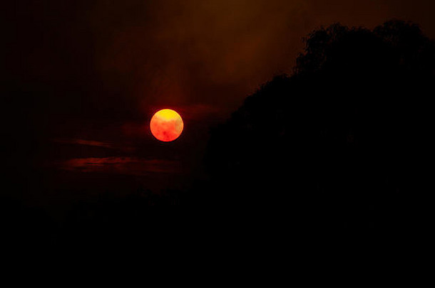 太阳笼罩在蓝山丛林大火的烟雾中。