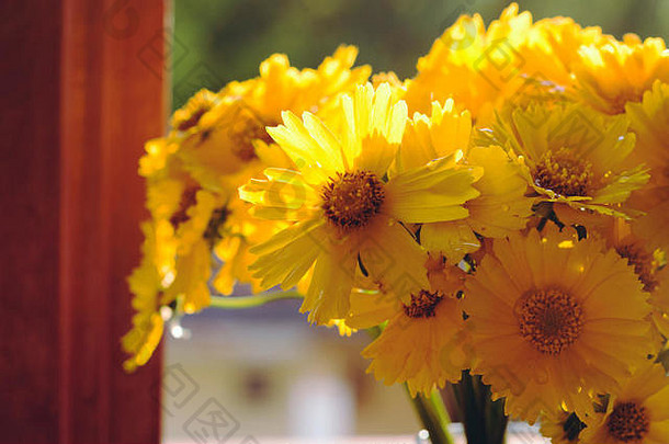 花瓶中美丽黄花的特写镜头