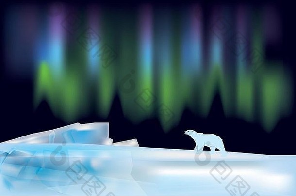 北极景观极光北欧化工极地熊
