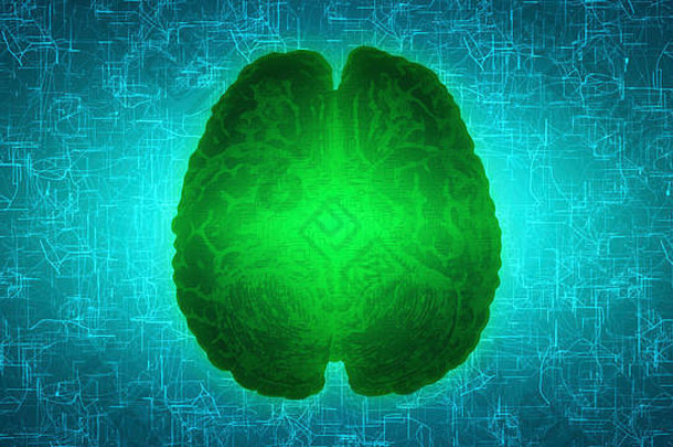发光的绿色大脑连接在神经表面或电子导体上。人工智能（AI）和高科技概念。